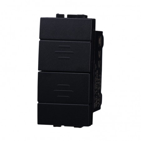 PULSANTE DOPPIO 16A LIVING INTERNATIONAL ETTROIT LN1202