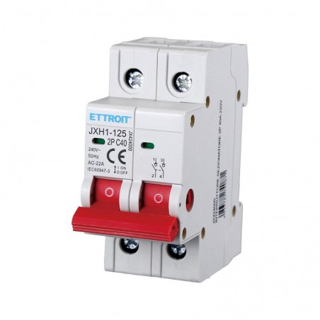 Interruttore Sezionatore 2P 40ah 220v 2 Moduli JX424000