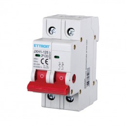 Interruttore Sezionatore 2P 63ah 220v JX426300