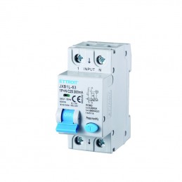 Magnetotermico Differenziale 1P+N 25AH 300mA 220v 2 Moduli JX272563