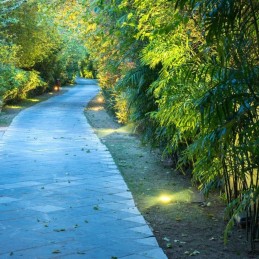 Portalampada da Interramento Calpestabile Rotondo MR16 (Max 20W) Colore Nero e Acciaio con 2 Fasci di Luce IP65 Sku 8568